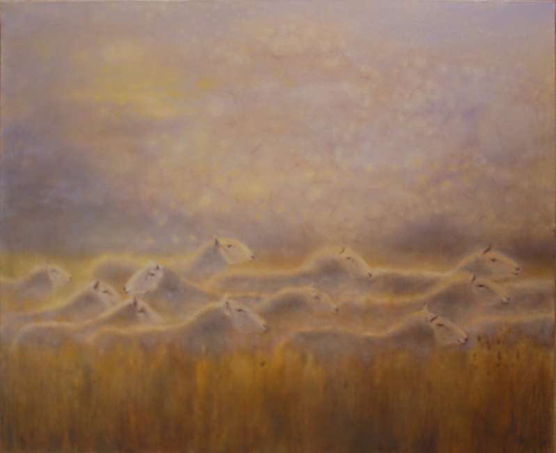Vision 120x100